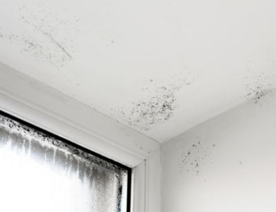 Mold growth in the corner of a room near a window, illustrating the effects of high humidity and the need for dehumidifiers to improve indoor air quality.