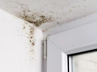 Mold growth in wall corner highlighting water damage, relevant for HVAC dehumidification services by Easco Air Conditioning.